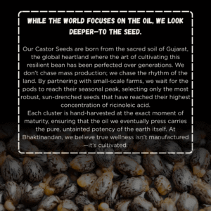 CASTER OIL COLD PRESSED (1 LTR) PURE